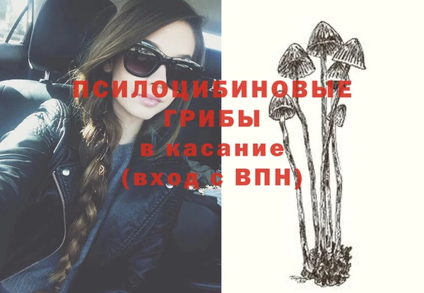 скорость Липки