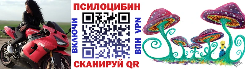 hydra рабочий сайт Чулым мориарти Telegram Псилоцибиновые грибы Psilocybine cubensis